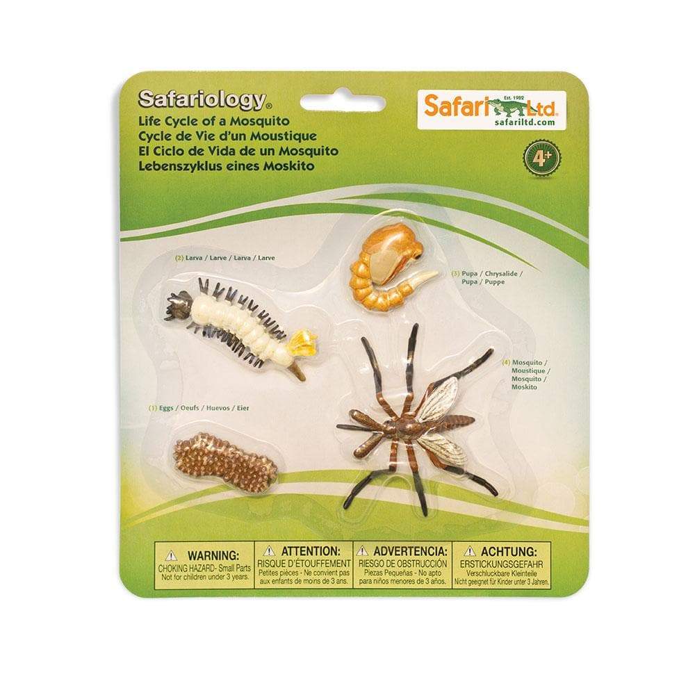 SAFARI - Life Cycle of a Mosquito – The Learning Curve