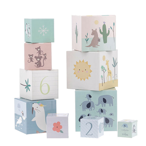 VILAC - Animals nesting cubes